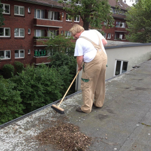 Der Hausmeister Regenrinnenreinigung