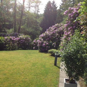 Gartenpflege 06