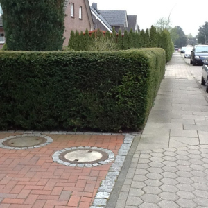 Jaehrlicher Heckenschnitt
